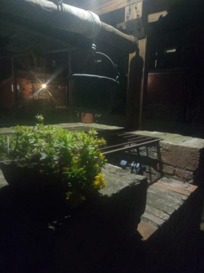 דירות קאסטיגליונה דל לאגו Agriturismo Colle Al Sole מראה חיצוני תמונה